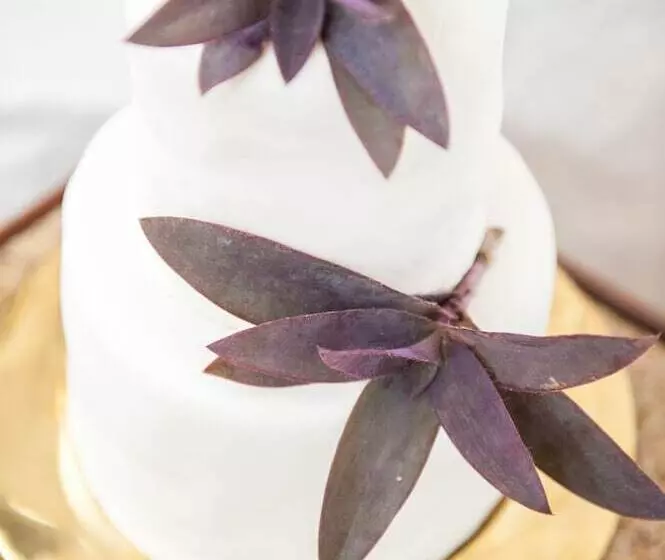 בית מלון כפרי Serena Beach Resort & Spa