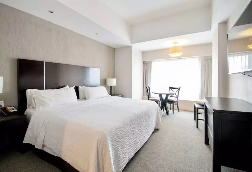 בית מלון כפרי Plaza Génova Centro