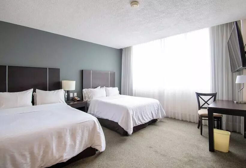 בית מלון כפרי Plaza Génova Centro