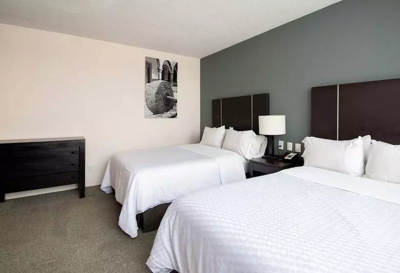 בית מלון כפרי Plaza Génova Centro