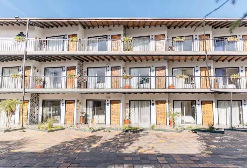 酒店 Posada El Rey Sol