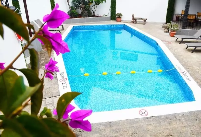 酒店 Posada El Rey Sol