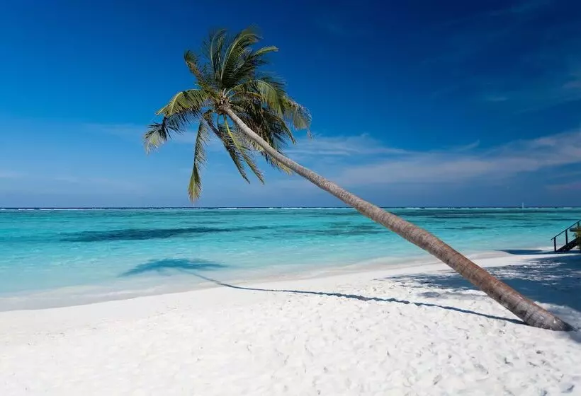 Meeru Maldives Resort Island