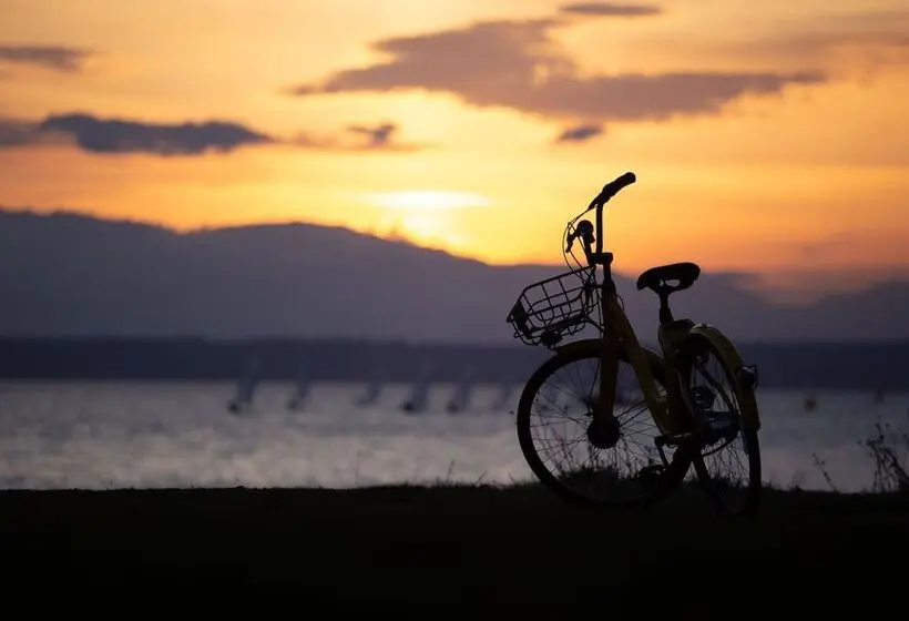 Home Hotel Grand Bodø
