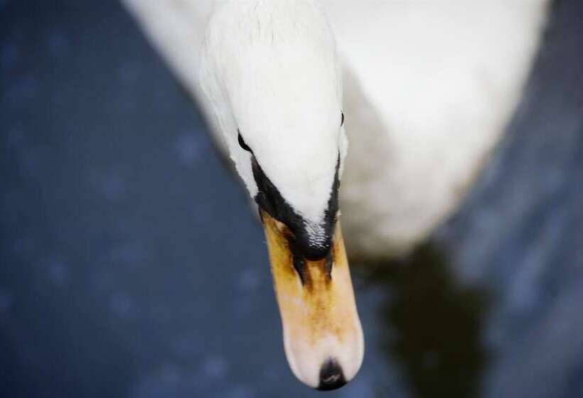 Bilderberg Hotel De Bovenste Molen