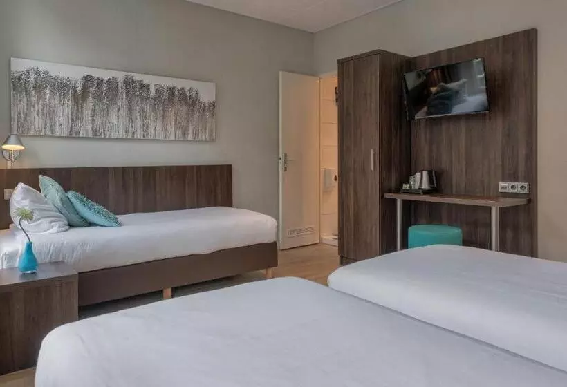 בית מלון כפרי Damsquare