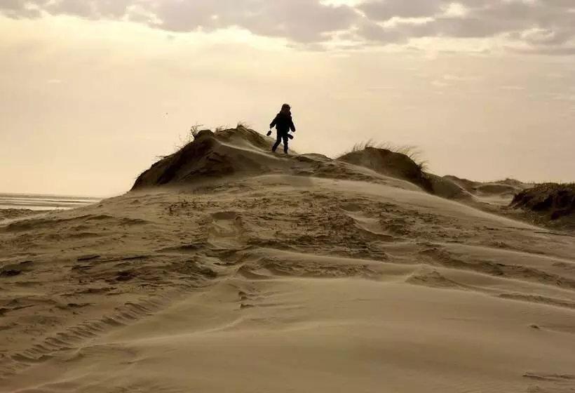 Paal 8 Hotel Aan Zee