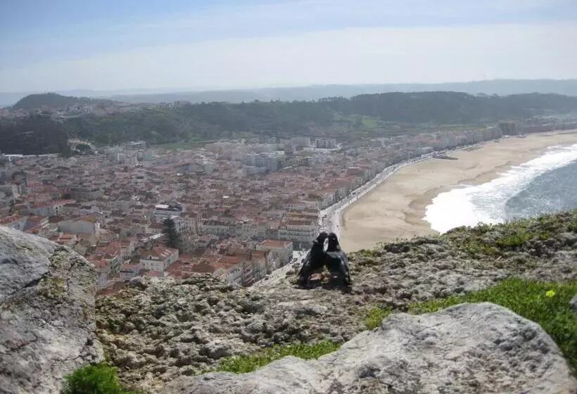 فندق Da Nazare