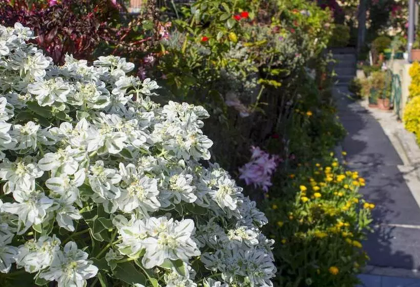 هتل Estoril Porto