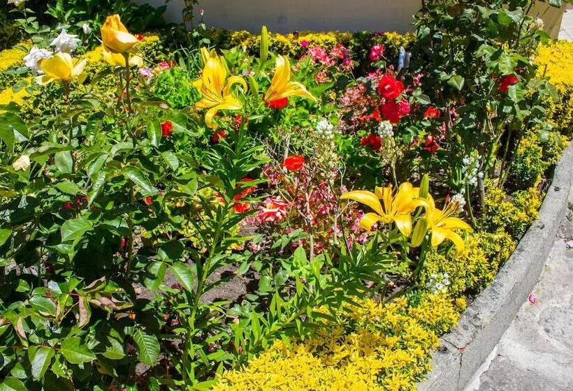 هتل Estoril Porto