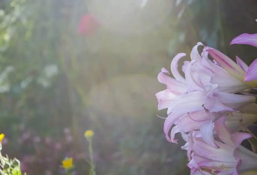 هتل Estoril Porto