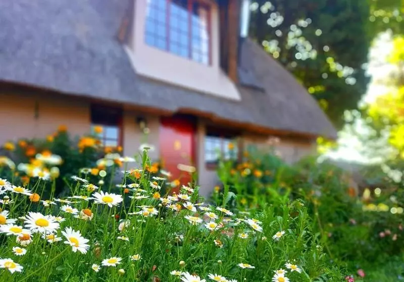 호텔 Granny Mouse Country House & Spa