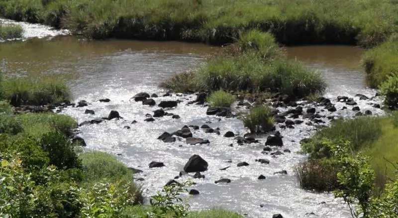 호텔 Granny Mouse Country House & Spa