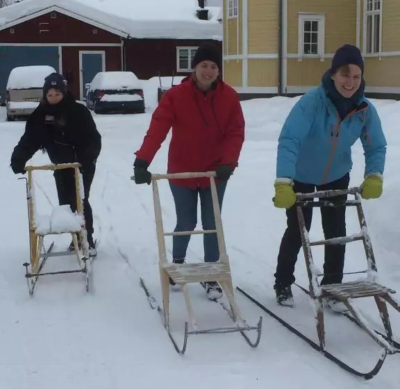 Hotel Stf Tre Björnar B&b