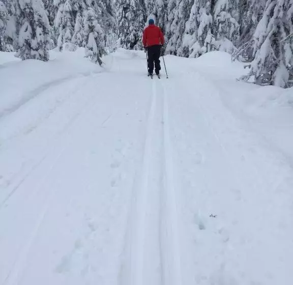 Hotel Stf Tre Björnar B&b