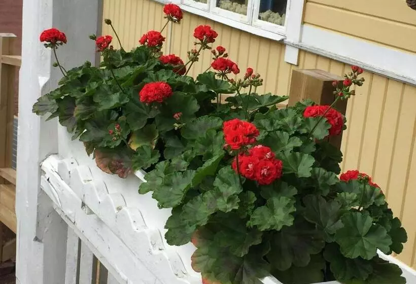 Hotel Stf Tre Björnar B&b