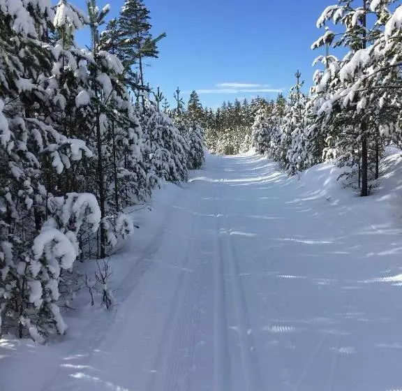 Hotel Stf Tre Björnar B&b