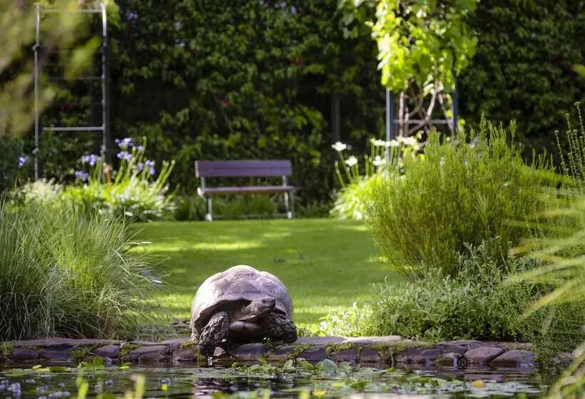 בית מלון כפרי Vineyard