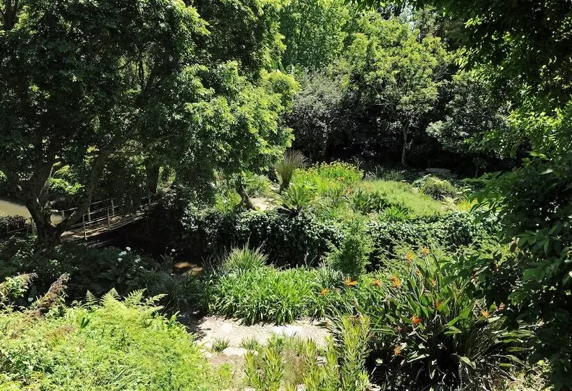 בית מלון כפרי Vineyard