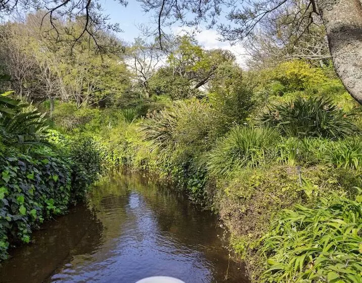 בית מלון כפרי Vineyard