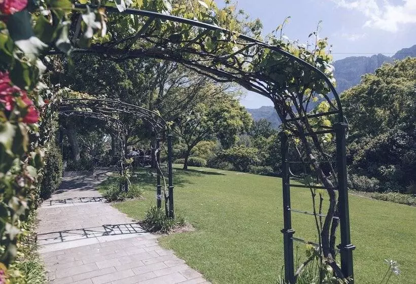 בית מלון כפרי Vineyard