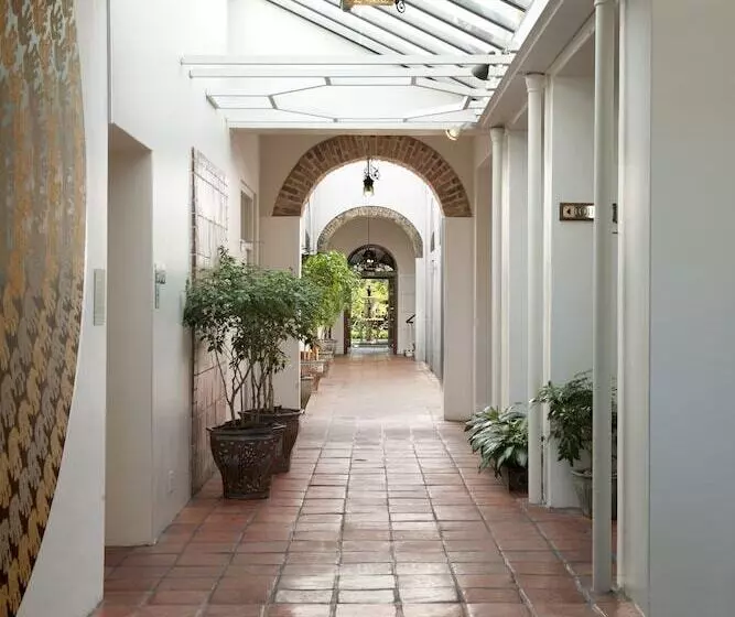 בית מלון כפרי Vineyard