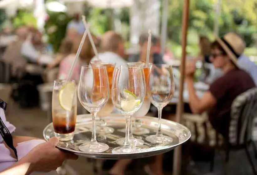 בית מלון כפרי Vineyard