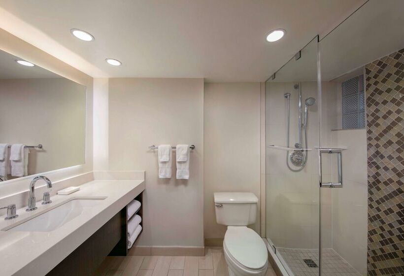 استراحتگاه The Royal Sonesta San Juan