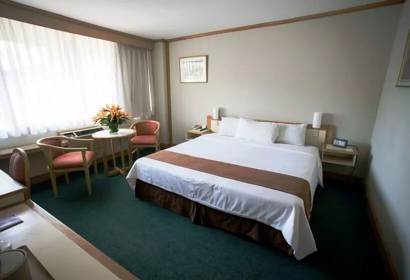 Best Western Plus Hotel Terraza