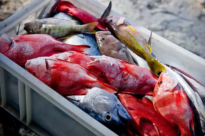 هتل Indian Ocean Lodge