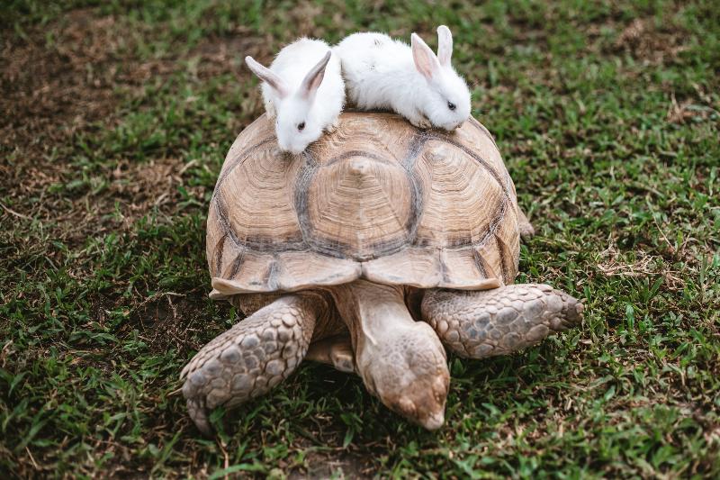 Thavorn Palm Beach Resort Phuket