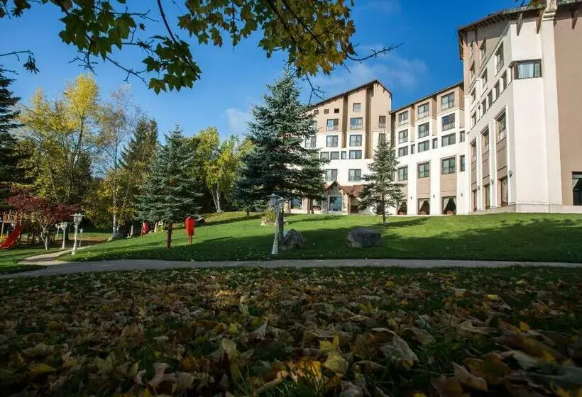 فندق Abant Palace