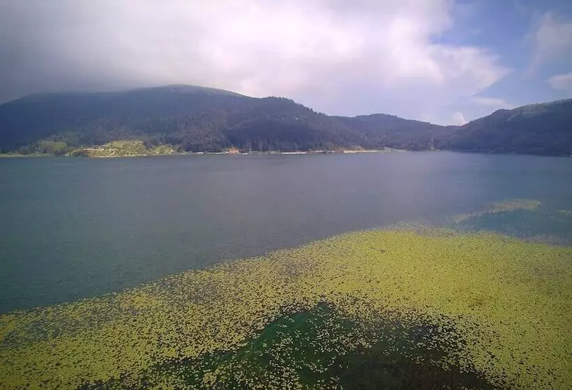 فندق Abant Palace