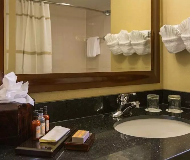 酒店 Baltimore Marriott Inner Harbor At Camden Yards