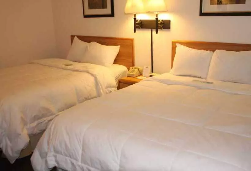 فندق Days Inn & Suites By Wyndham Needles