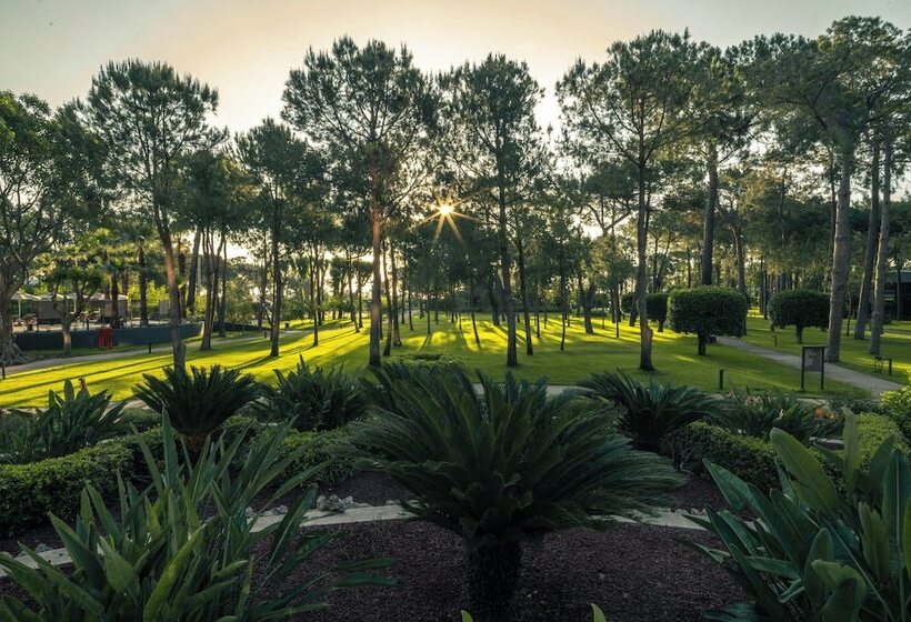 استراحتگاه Balmy Foresta