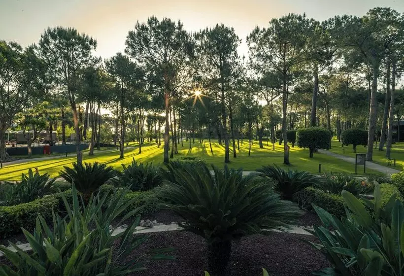 Курорт Balmy Foresta