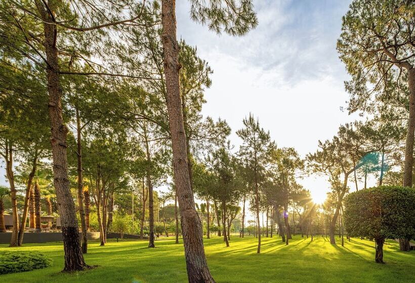 استراحتگاه Balmy Foresta