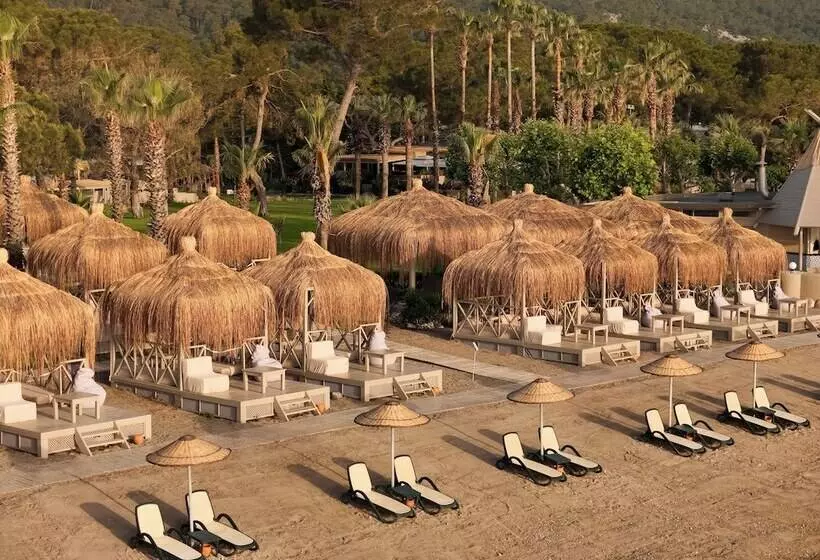 Курорт Balmy Foresta