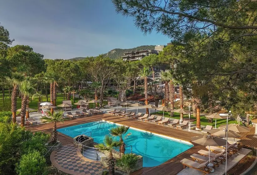 Курорт Balmy Foresta