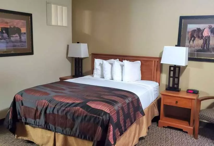 Best Western Plains Motel
