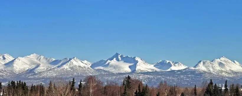 Alex Hotel And Suites