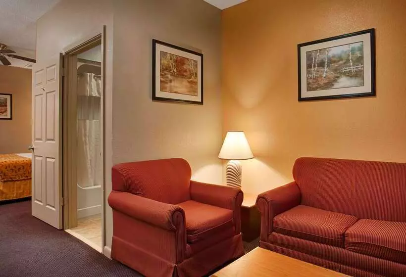 酒店 Best Western Delhi Inn