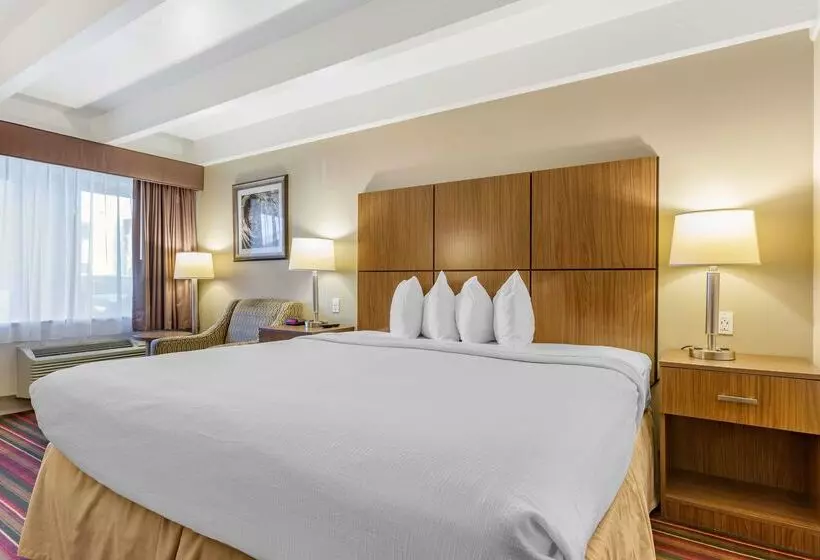 Отель Best Western El Rancho Palacio