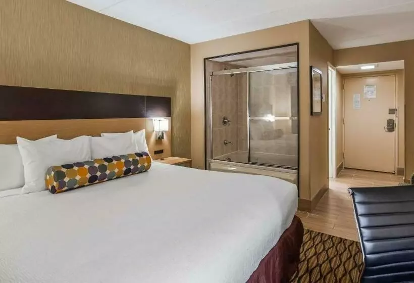 Отель Best Western Leisure Inn