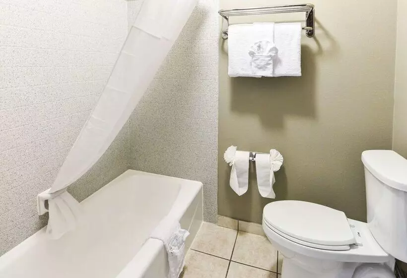 Hotel Best Western Mccarran Inn