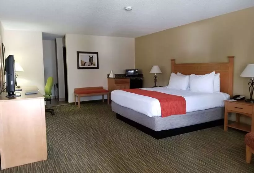 בית מלון כפרי Best Western Paint Pony Lodge