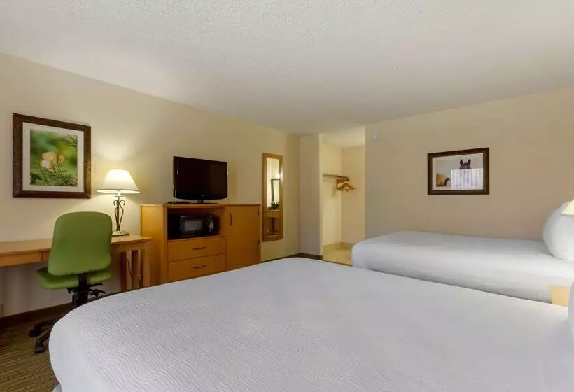 בית מלון כפרי Best Western Paint Pony Lodge