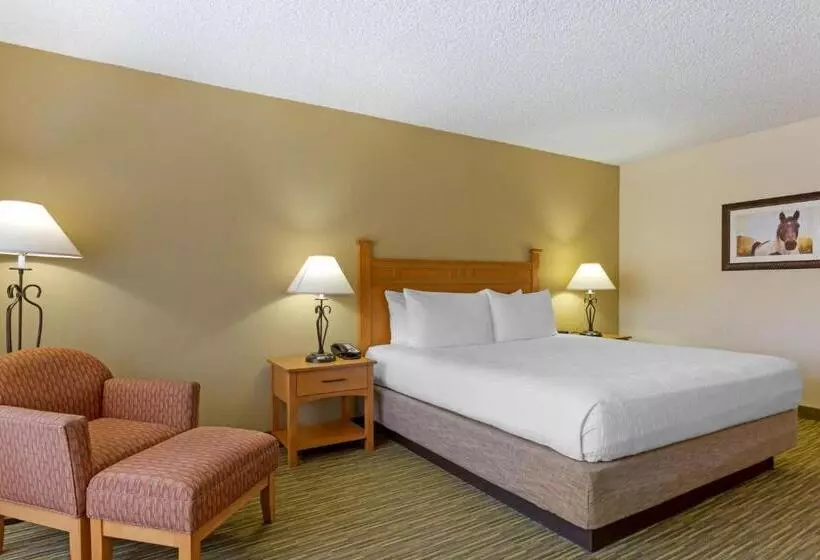 בית מלון כפרי Best Western Paint Pony Lodge