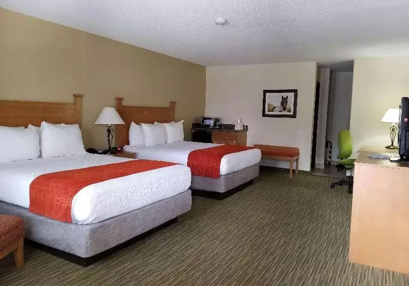 בית מלון כפרי Best Western Paint Pony Lodge